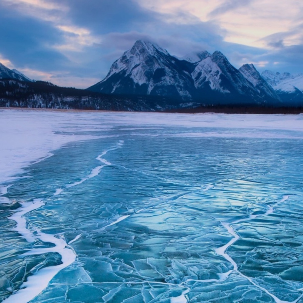 Meet your Posher, Arian